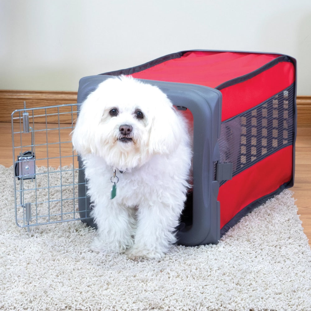 Vibrant  Pop Up , Dog, Cat  backpack