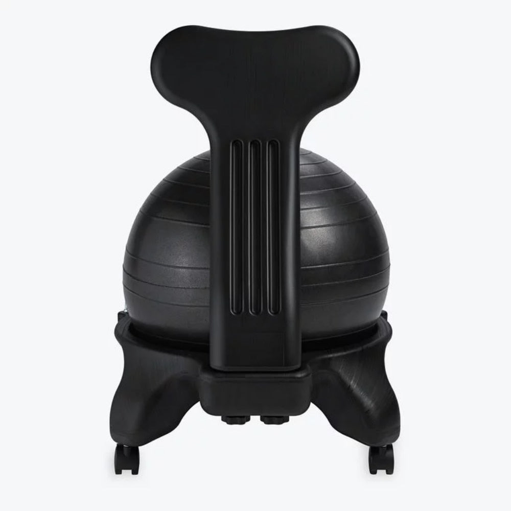 Balance Ball Chair