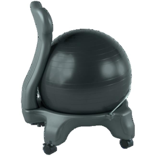 Balance Ball Chair