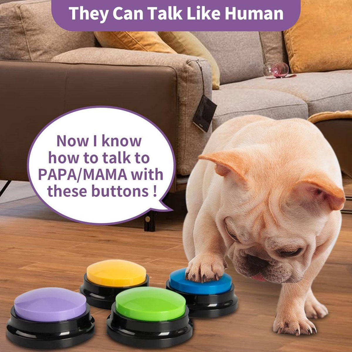 Pet Training Buzzer -Talking And Recorder