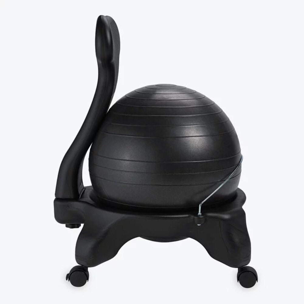 Balance Ball Chair