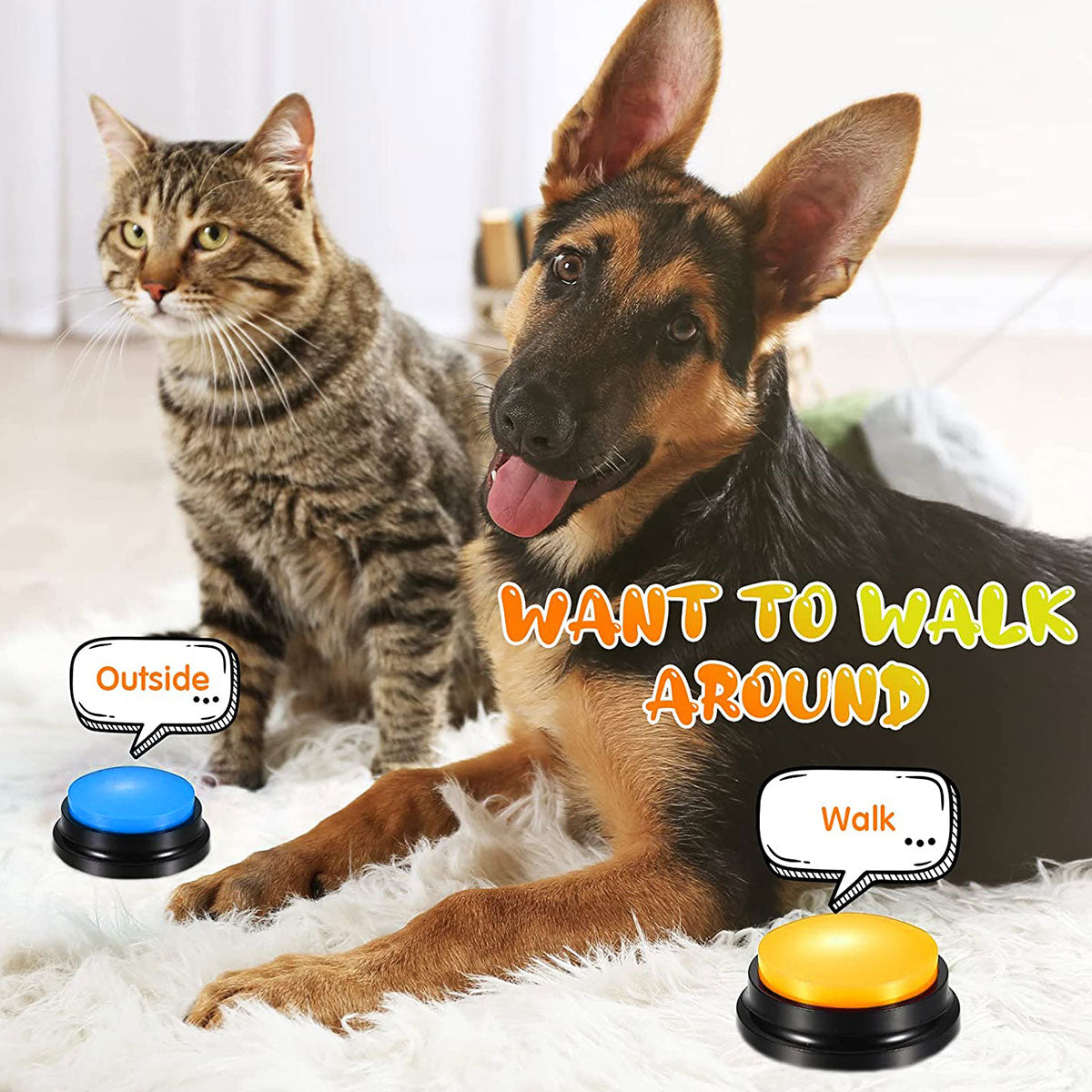 Pet Training Buzzer -Talking And Recorder